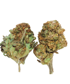 Buy Amnesia Haze Online