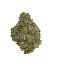 Buy Black Domina Online