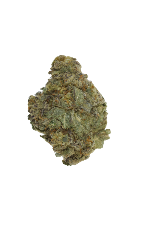 Black Domina