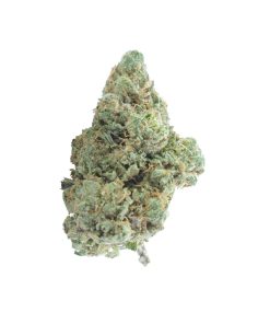 buy blueberry diesel online