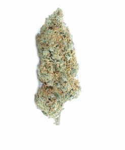 buy congo zkittles online