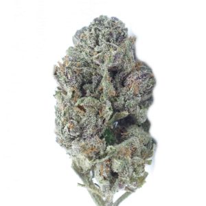 buy gastown og online