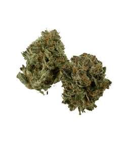 buy gods green crack online