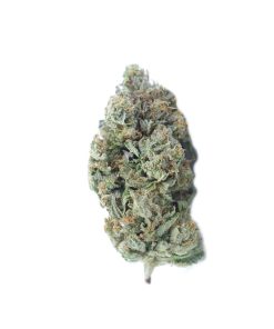 buy kings kush online