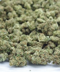 buy kings kush online