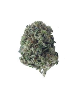 buy king's kush online