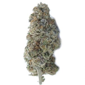 buy platinum cookies online