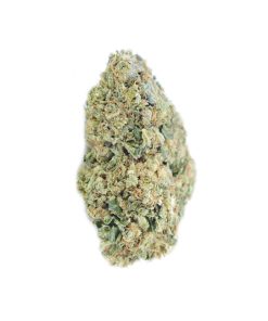 buy rockstar og online