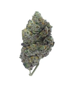 buy tropicanna cookies online