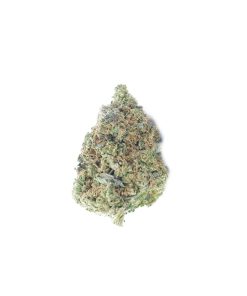 buy tuna kush online