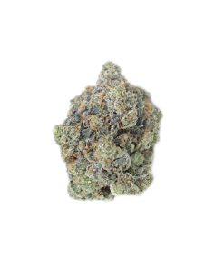 buy white shark OG online