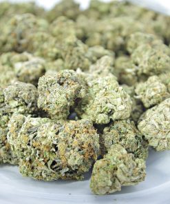 buy white shark og online