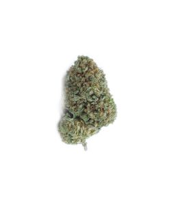 buy alien bubba online