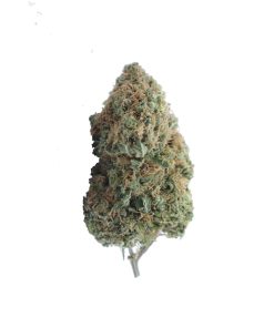 buy amnesia haze online