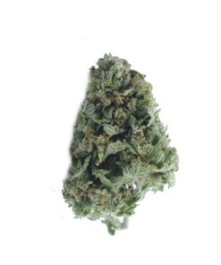 buy black bubba online