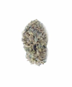 buy blackberry kush online