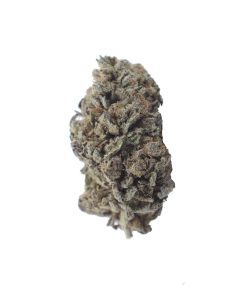 buy blue dream online