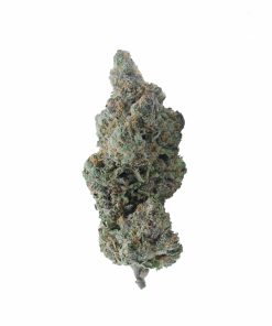 buy blueberry headband online