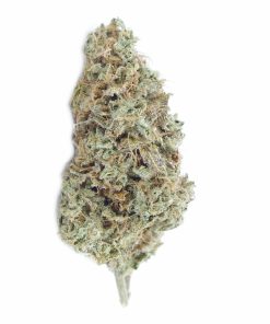 buy chemdawg online