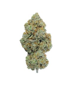 buy chocolope online