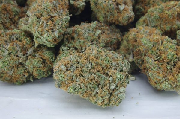 Congolese (Oz Special)