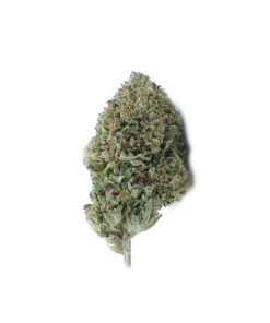 buy death bubba online