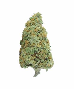 buy ghost train haze online