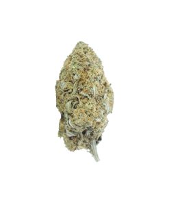 buy gsc online