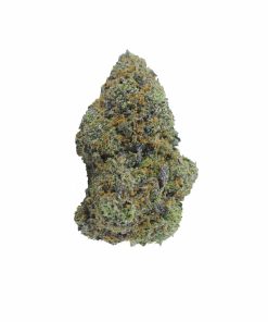 buy larry bird breath online