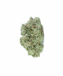 buy mango haze online