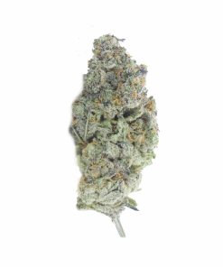 buy mendo breath online