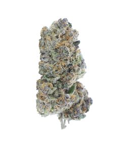 buy mendocino purps online