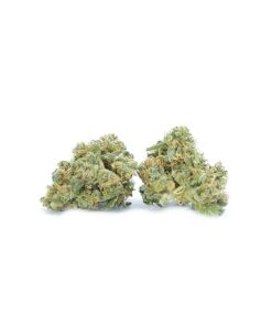 buy moby dick mids online