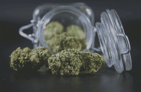 Cannabis Flower Ounce Specials