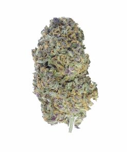 buy purple congo online