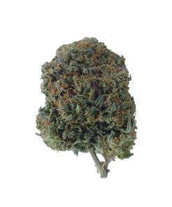 buy tuna kush online