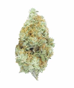 buy white widow online