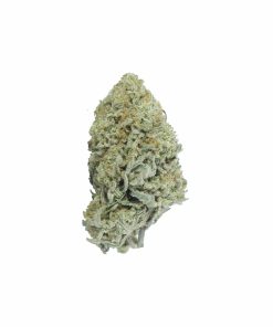 buy zombie og online