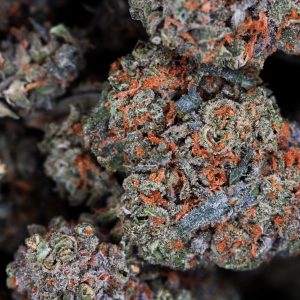 Buy Cherry Garcia Online