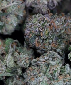 Buy Pink Kush Online