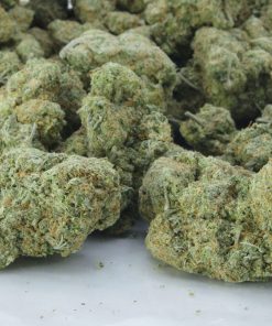 Buy strawberry haze online