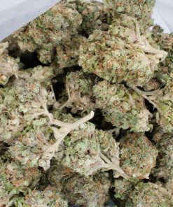 Buy Haze OG Online