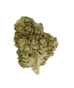 Buy Haze OG Online