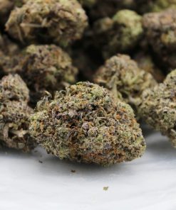 Buy Purple Diesel Online