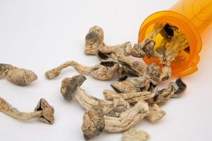 Buy Psychedelics Online in Canada