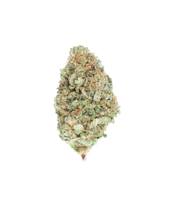 Buy Citrus Haze Online