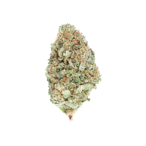 Buy Citrus Haze Online