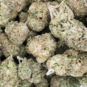 Buy Citrus Haze Online