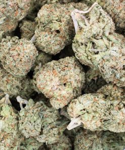 Buy Citrus Haze Online