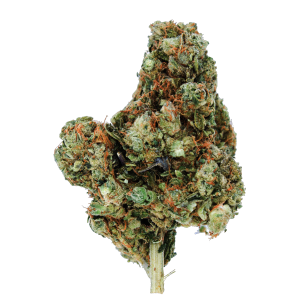 Buy Ghost Rider OG Online